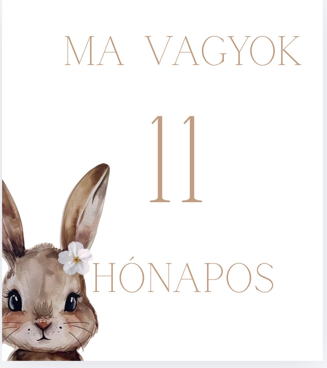 Lányos mérföldkő kártya